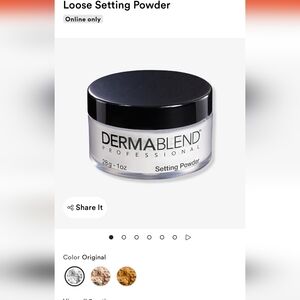 Dermablend Professional Translucent Setting Powder